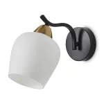 Настенный светильник Freya Shadow FR5422WL-01BZ