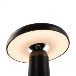 Аккумуляторный светильник Freya Mushroom FR6109TL-L4B