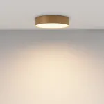 Потолочный светильник Maytoni Ceiling C032CL-36W3K-RD-MG