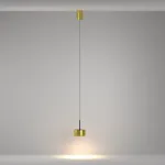 Подвесной светильник Maytoni Pendant P102PL-12W3K-BS