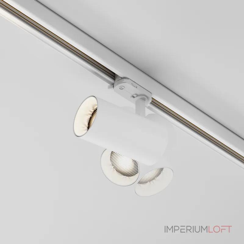 Трековый светильник Maytoni TRINITY TR197-3-20WCCT-M-W
