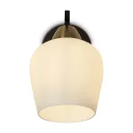 Настенный светильник Freya Shadow FR5422WL-01BZ