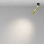 Потолочный светильник Maytoni Ceiling C141CL-L300-6W4K-BBS от ImperiumLoft