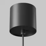 Подвесной светильник Maytoni Pendant P100PL-20W4K-B
