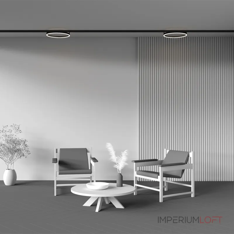 Трековый светильник Maytoni Rim TR227-2-24W3K-B