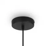 Подвесной светильник Roots MOD194PL-01W Подвесной светильник Roots MOD194PL-01W