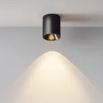 Потолочный светильник Maytoni Alfa LED C064CL-12W3K-RD-B от ImperiumLoft