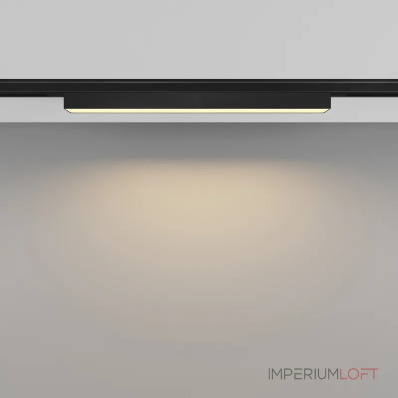 Трековый светильник Maytoni LEVITY TR192-1-8W2.7K-B