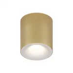 Потолочный светильник Maytoni Ceiling C094-GU10-MG от ImperiumLoft