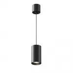 Подвесной светильник Maytoni Pendant P100PL-20W4K-B