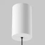 Подвесной светильник Maytoni Pendant P102PL-12W3K-W