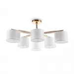 Потолочный светильник FR5386CL-06G