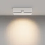 Потолочный светильник Maytoni Ceiling C136CL-12W3K-W от ImperiumLoft