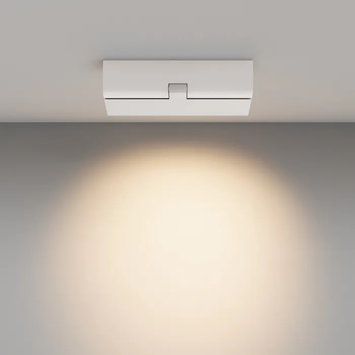 Потолочный светильник Maytoni Ceiling C136CL-12W3K-W от ImperiumLoft