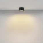 Потолочный светильник Maytoni Zon C032CL-12W2.7K-RD-B