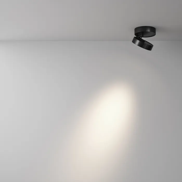 Потолочный светильник Maytoni Ceiling C022CL-12W4K-B-1 от ImperiumLoft