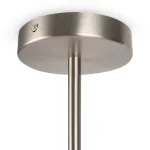 Люстра на штанге Branches FR5253PL-06N