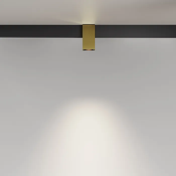 Трековый светильник Maytoni EXILITY TR121-4-7W-DS-BS от ImperiumLoft