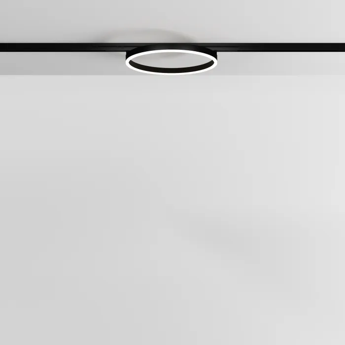 Трековый светильник Maytoni Rim TR227-2-24W3K-B от ImperiumLoft