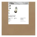 Настенный светильник Freya Олли / Ollie FR5525WL-01GB