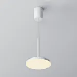 Подвесной светильник Maytoni Pendant P076PL-L12W3K-W