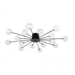 Потолочный светильник Celebrity FR5242CL-16B1