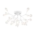 Потолочная люстра Freya Florencia FR5049CL-27W1