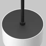 Подвесной светильник Maytoni Pendant P102PL-12W3K-W