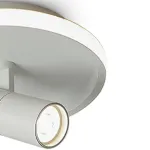 Потолочный светильник Freya Нео / Neo FR6040CL-L14W