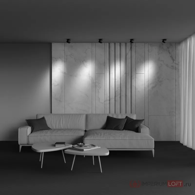 Потолочный светильник Maytoni Ceiling C022CL-12W4K-B-1 от ImperiumLoft