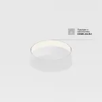 Аксессуар для встраиваемого светильника Maytoni Downlight DLA032-TRS36-W от ImperiumLoft