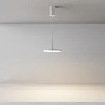 Подвесной светильник Maytoni Pendant P076PL-L12W3K-W