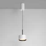 Подвесной светильник Maytoni Pendant P102PL-12W3K-W