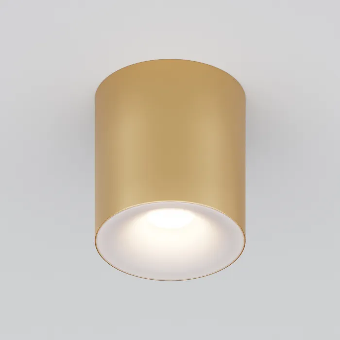 Потолочный светильник Maytoni Ceiling C094-GU10-MG от ImperiumLoft