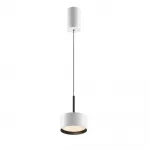 Подвесной светильник Maytoni Pendant P102PL-12W3K-W