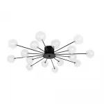 Потолочный светильник Celebrity FR5242CL-16B1