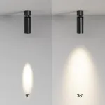 Потолочный светильник Maytoni Ceiling FOCUS LED C055CL-L12W3K-SS-B