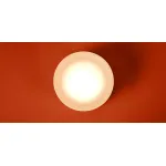 Настенный светильник (бра) Freya Modern Retro FR5603WL-L8W