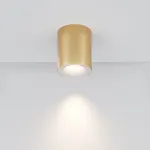 Потолочный светильник Maytoni Ceiling C094-GU10-MG от ImperiumLoft