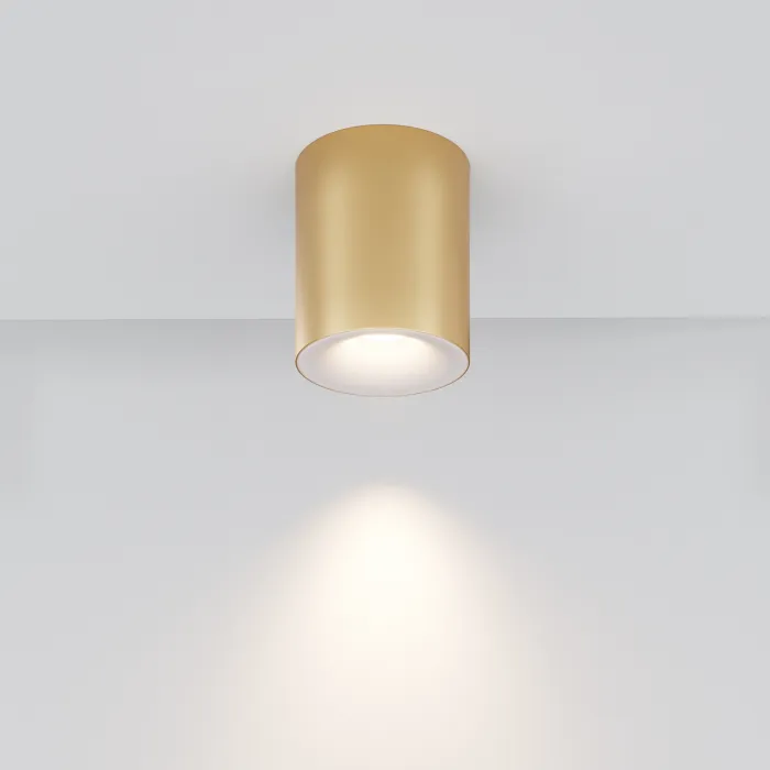 Потолочный светильник Maytoni Ceiling C094-GU10-MG от ImperiumLoft