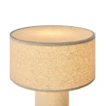 Настольный светильник Freya Raccolto FR5623TL-01CR