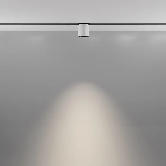 Трековый светильник Maytoni EXILITY TR132-2-7W4K-W от ImperiumLoft