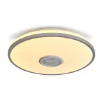 Потолочный светильник Freya Ронд / Rond FR6226CL-L36W