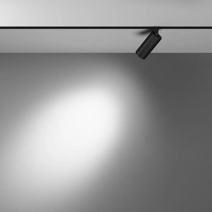 Трековый светильник Maytoni Focus LED TR032-4-5WTW-M-DD2-B от ImperiumLoft