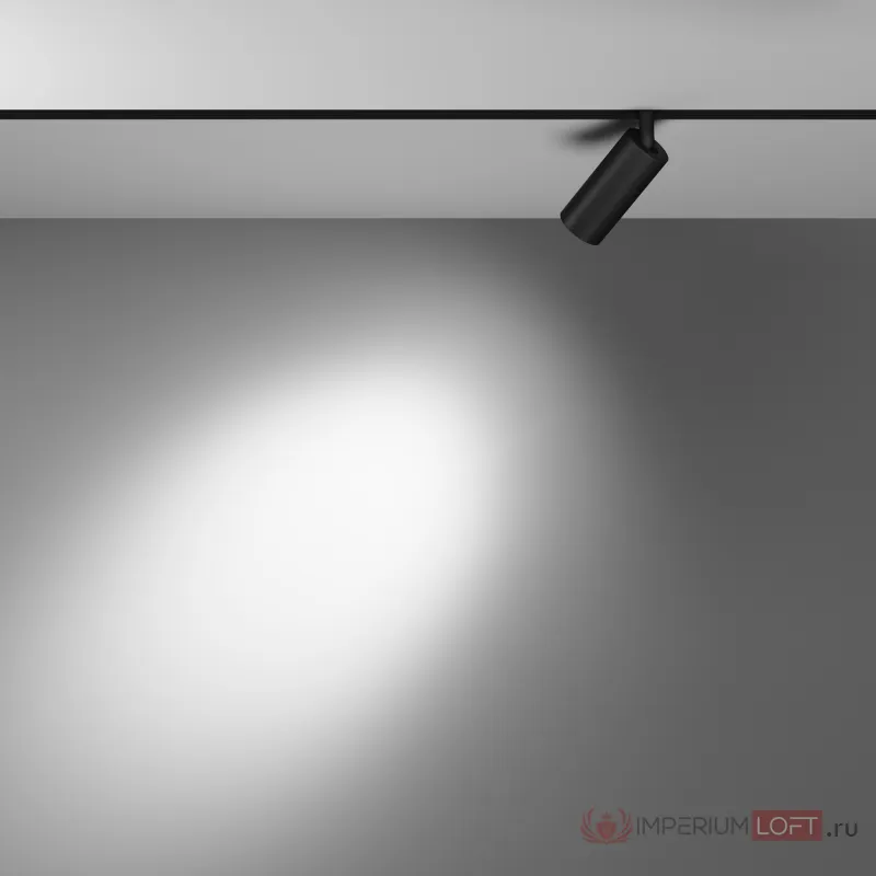 Трековый светильник Maytoni Focus LED TR032-4-5WTW-M-DD2-B от ImperiumLoft