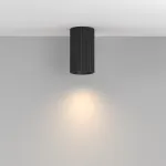 Потолочный светильник Maytoni Ceiling C106CL-01-GU10-B