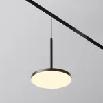 Трековый светильник Maytoni EXILITY TR123-2-15W3K-B