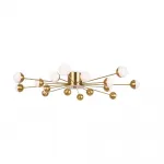 Потолочный светильник Celebrity FR5242CL-16BS