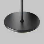 Подвесной светильник Maytoni Pendant P076PL-L12W4K-B