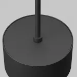 Подвесной светильник Maytoni Pendant P102PL-12W4K-B от ImperiumLoft